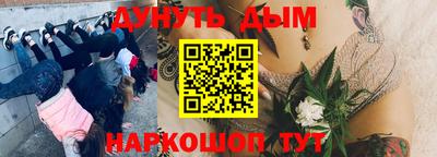 гидропоника Заводоуковск