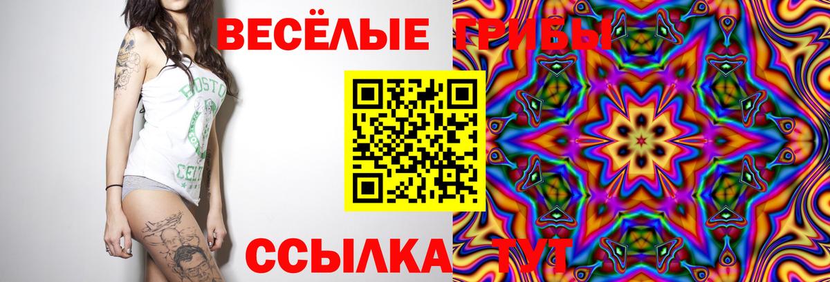 Галлюциногенные грибы Psilocybe Королёв