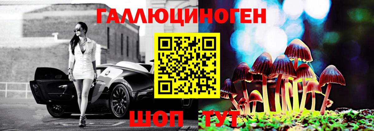 Королёв  Псилоцибиновые грибы мухоморы  Вход с VPN 