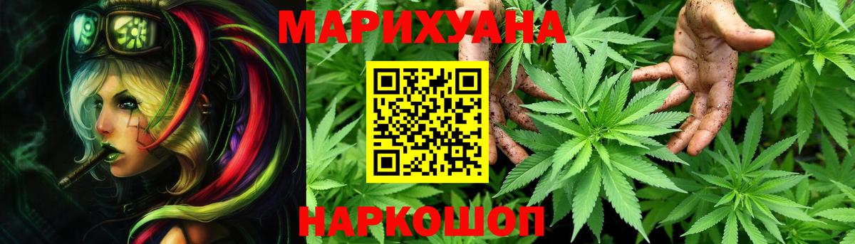 Бошки Шишки ГИДРОПОН Королёв